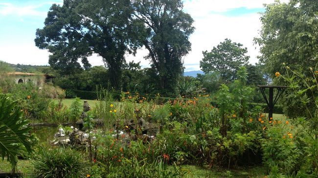 Hotel Desire Costa Rica Santa Barbara de Heredia المظهر الخارجي الصورة